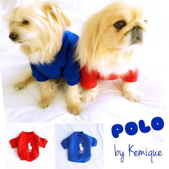 Mavi Köpek Sweatshirt Polo Köpek Kıyafeti Köpek Elbisesi - 5