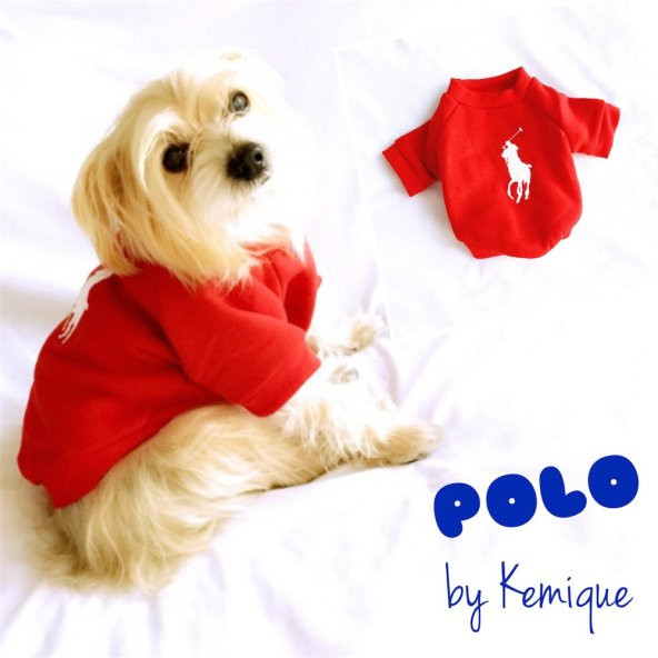 Mavi Köpek Sweatshirt Polo Köpek Kıyafeti Köpek Elbisesi