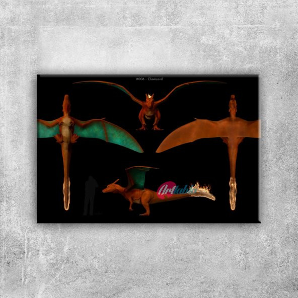 Mega Charizards 3 Pokemon Canvas Tablo Arttablo