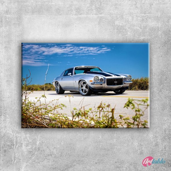 Klasik Otomobiller Chevrolet Camaro SS 4 Amerikan Klasik Arabalar - 1
