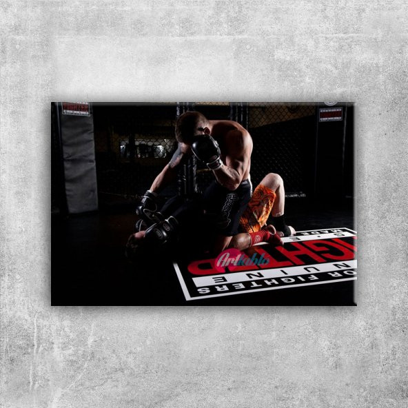 MMA Dövüş Sporları Kick Boks 2 Spor Kanvas Tablo