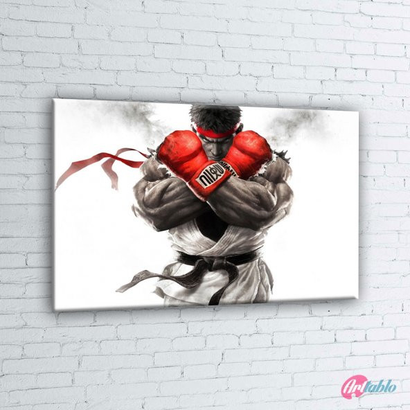 Street Fighter 1 Boks Spor Kanvas Tablo - 2
