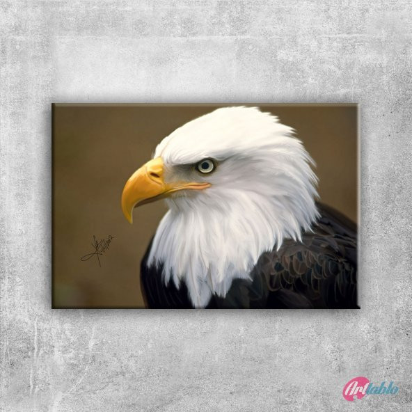 Kartal 3 Yağlı Boya Sanat Kanvas Tablo - 1