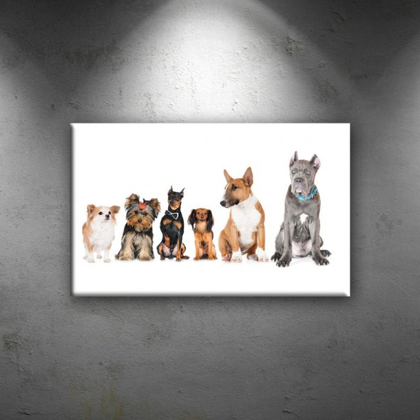 Köpekler Hayvanlar Dekoratif Canvas Tablo