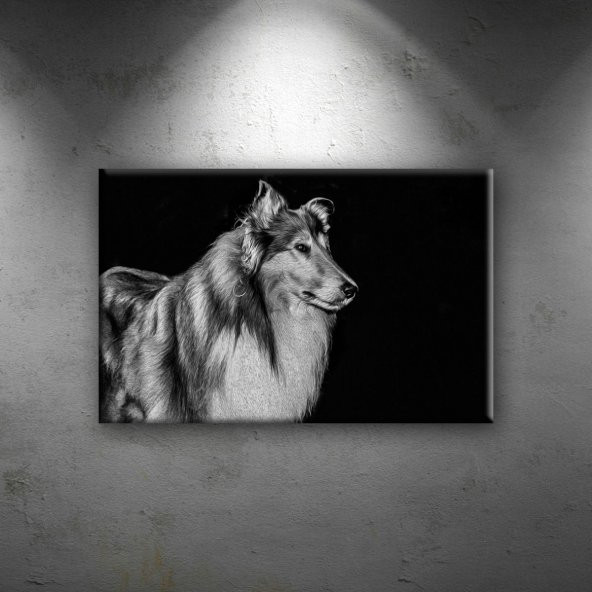 Lassie Köpek Hayvanlar Dekoratif Canvas Tablo