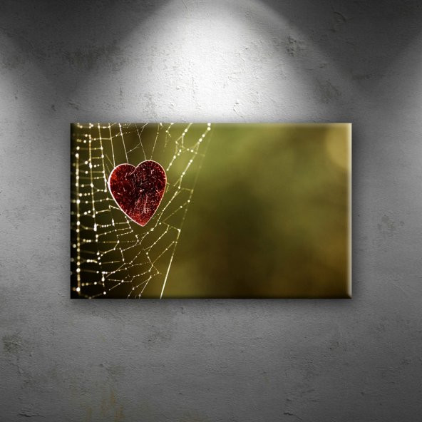 Kalp, Doğa Örümcek Ağı Aşk & Sevgi Dekoratif Canvas Tablo