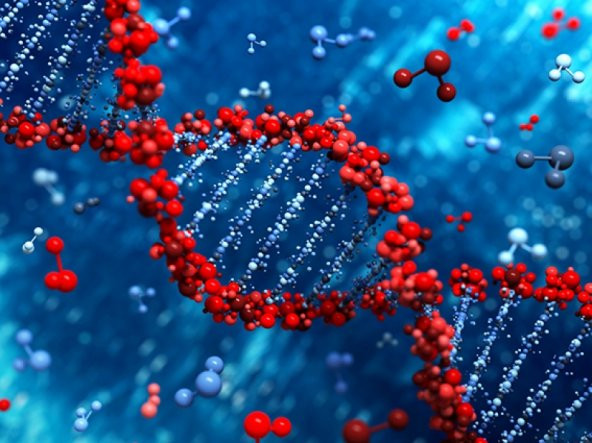 İnsan Dna Dizilimi Genetik Fantastik Dekoratif Canvas Tablo - 3