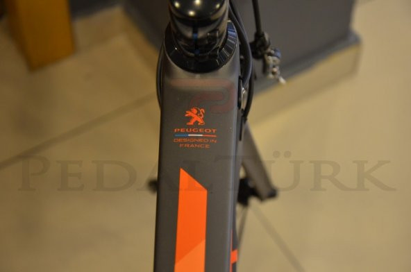 Peugeot GTR 980 105 Yol Bisikleti - 8