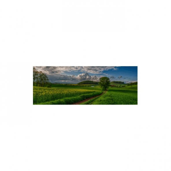 Artikel Yeşile Yolculuk 178x65 cm Duvar Resmi Duvar Kağıdı Manzara - 2
