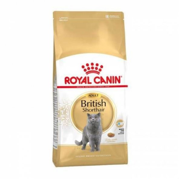 Royal Canin British Shorthair Irkı için Mama 4 Kg