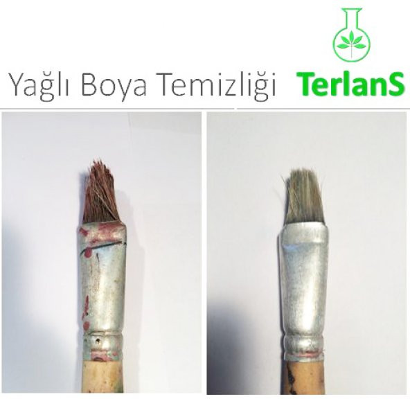 TERLANS Sanatsal Boya ve Fırça Temizleyici 1000 ml Artist Brush Cleaner - 6
