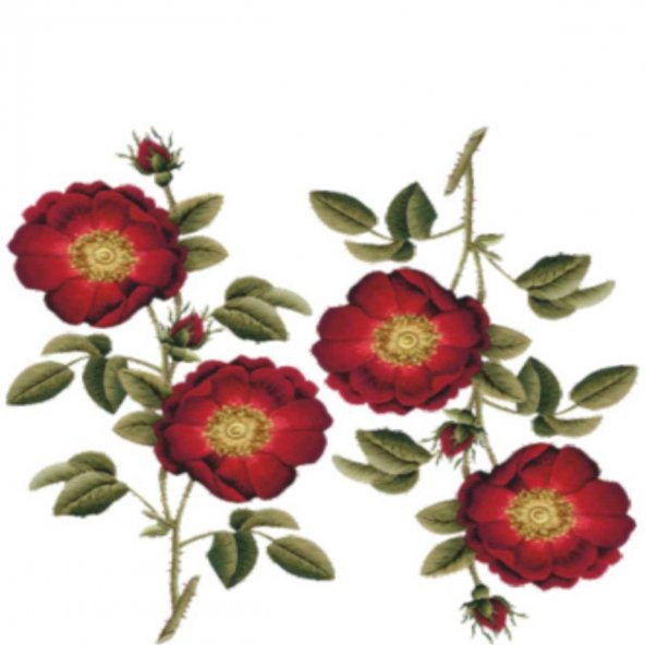 1808v Artebella Kolay Kumaş Transfer Açık Zemin - 2