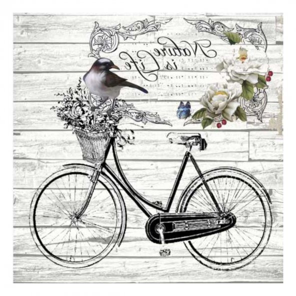 Kolay Transfer 5819v Home Design Transparan 25x25 cm - 2