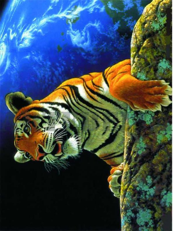 Kolay Transfer 1375v Transparan 23x34cm
