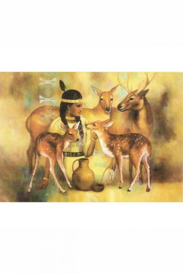 Kolay Transfer 1357v Transparan 23x34cm - 2