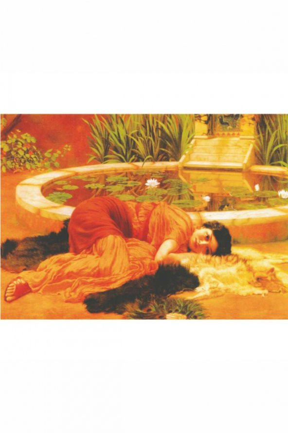 Kolay Transfer 1317v Transparan 23x34cm - 2