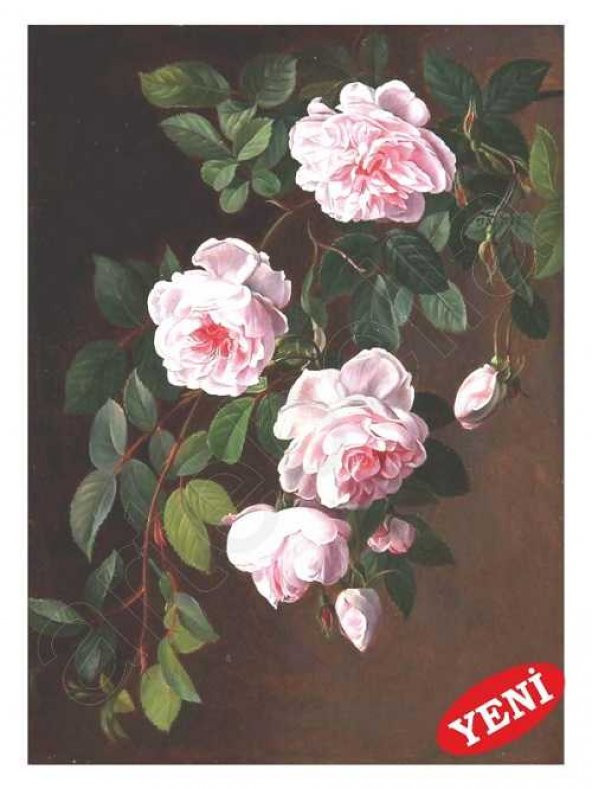Kolay Transfer 1415v Transparann 23x34cm