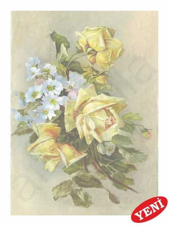 Kolay Transfer 1424k Opak 23x34cm - 1