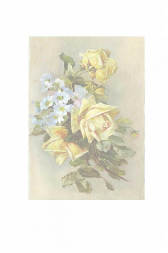Kolay Transfer 1424k Opak 23x34cm - 2