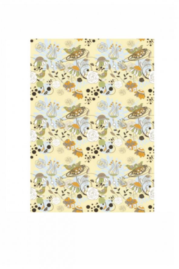 Kolay Transfer 1412v Transparann 23x34cm - Resim 2