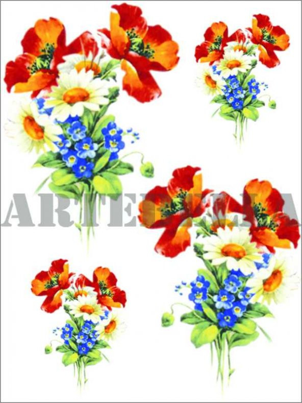Kolay Transfer 1270v Transparan 17x24cm