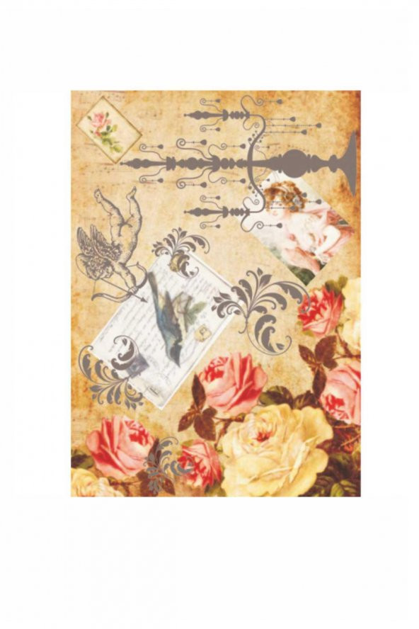 Kolay Transfer 1414v Transparan 23x34cm - 2