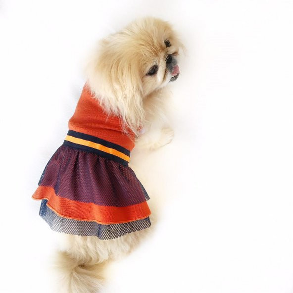Navy Orange Köpek Elbisesi Köpek Kıyafeti