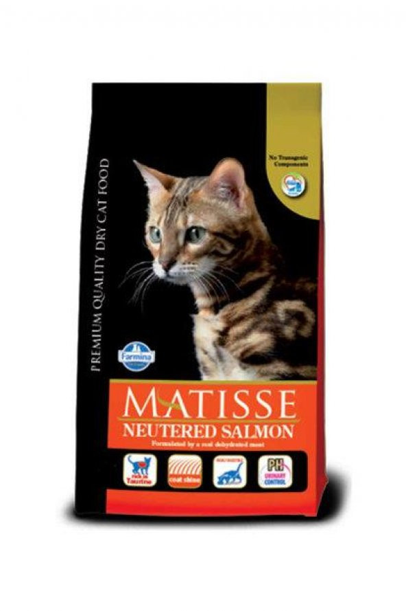 Kısırlaştırılmış Kediler için Somonlu Mama 1,5 Kg Matisse