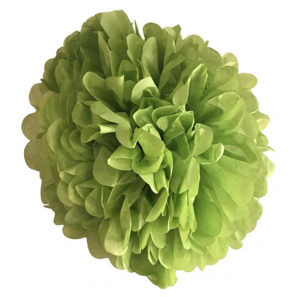 1 Adet Fıstık Yeşili Ponpon Gramafon Çiçek Kağıt Parti Süsü