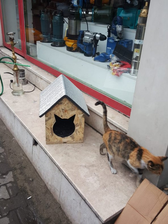 Kedi Evi Kedi Kulübesi Dış Mekan Kedi Yuvası-ÖZEL TASARIM- - 3