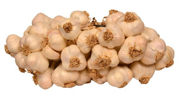 KASTAMONU TAŞKÖPRÜ SARIMSAĞI 1.000 GR - 2