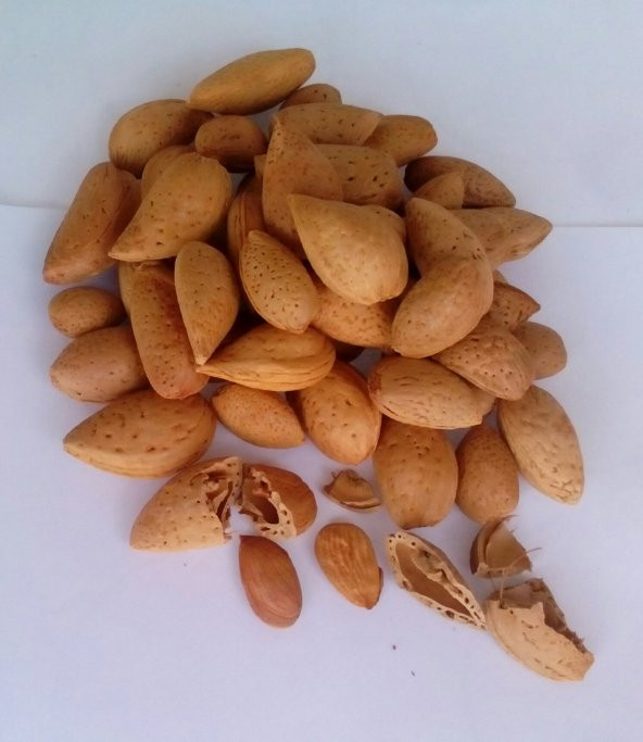 Doğal Sert Kabuklu Yerli Badem 1 Kg - 2