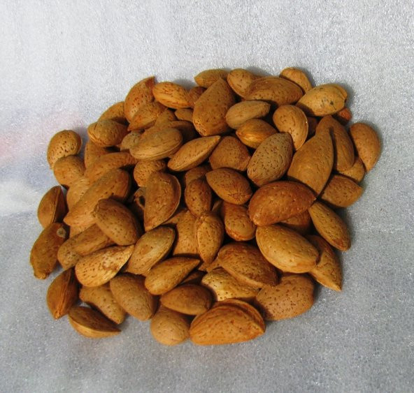 Doğal Sert Kabuklu Yerli Badem 1 Kg - 5