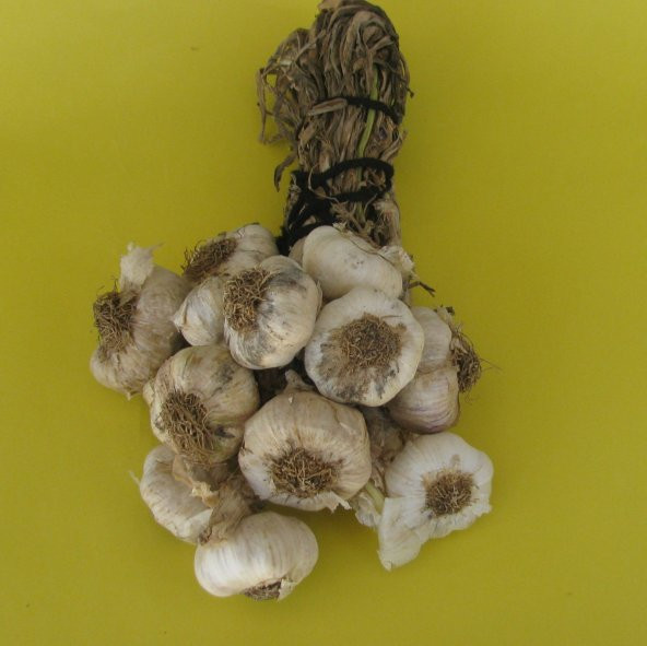 Doğal Yerli Diş Sarımsak 1 Kg - 2