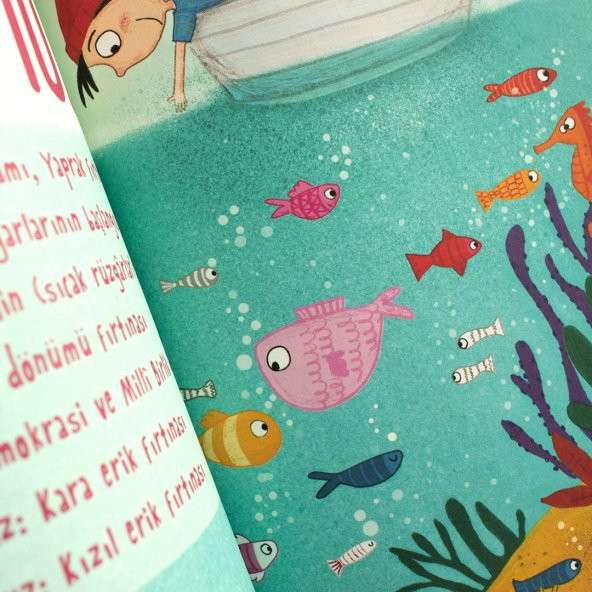 Meraklı Defter - 5