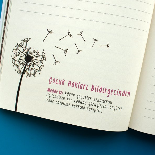 Meraklı Defter - 7