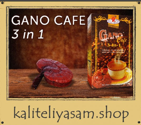 GANO CAFE 3 IN 1 Reishi Mantarlı Kahve - GANOCAFE 3IN1 - Gano Excel