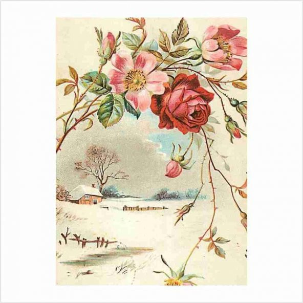 Kolay Transfer 1299v Transparan 17x24cm