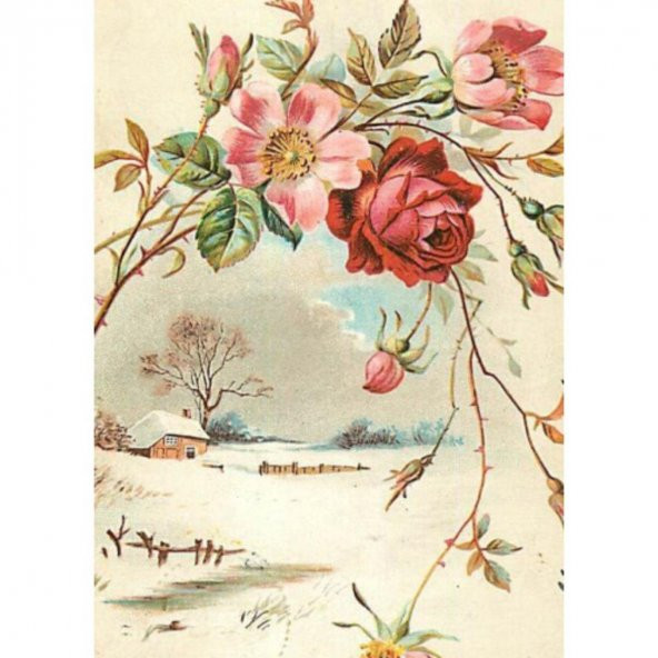 Kolay Transfer 1299v Transparan 17x24cm - 2