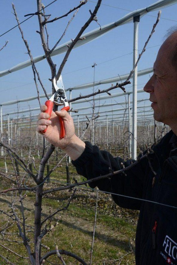 Felco 7 Budama Makası 21cm Sağ By-Pass - 5