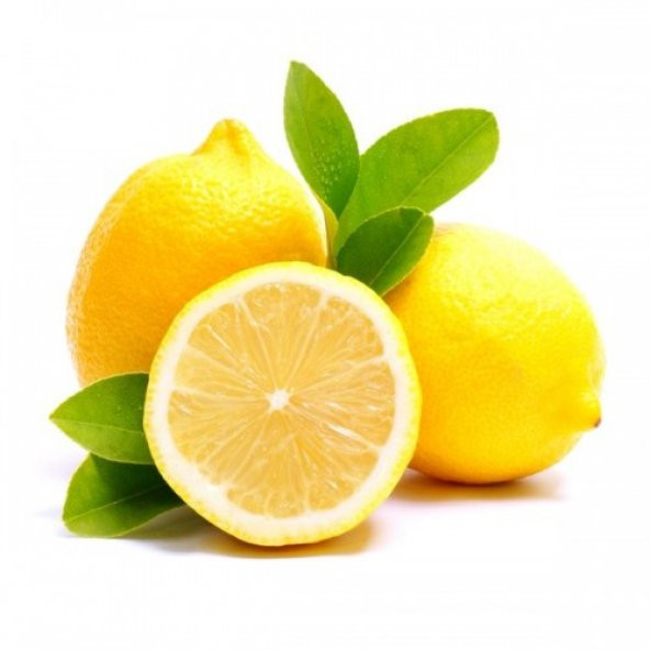 Limon Fidanı Yediveren Gerçek Limon