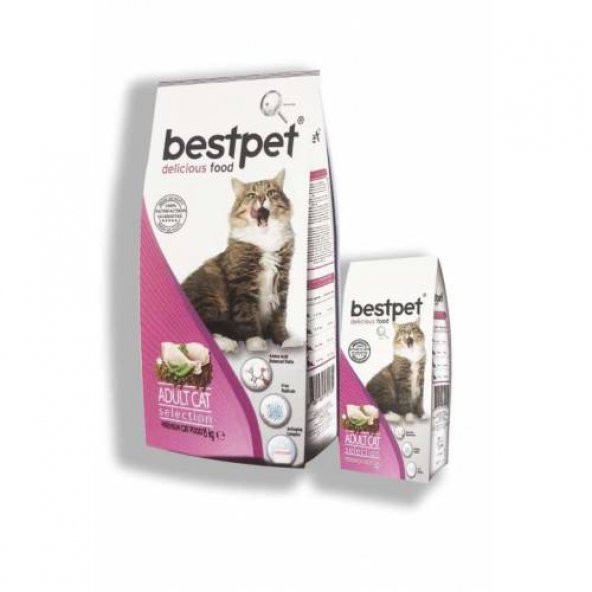 best pet selection 15kg