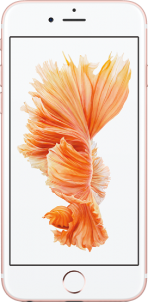 Apple iPhone 6s 32 GB  ( Apple Türkiye Garantili )