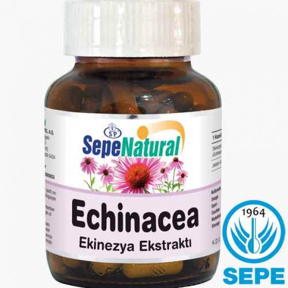 Echinacea Extract 90 Kapsül 530 mg Ekinezya Ekstrakt Ekstresi