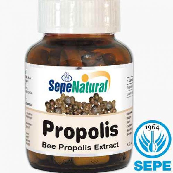 Propolis Extract 90 Kapsül 380 mg PROPOLİS Ekstrakt Ekstresi