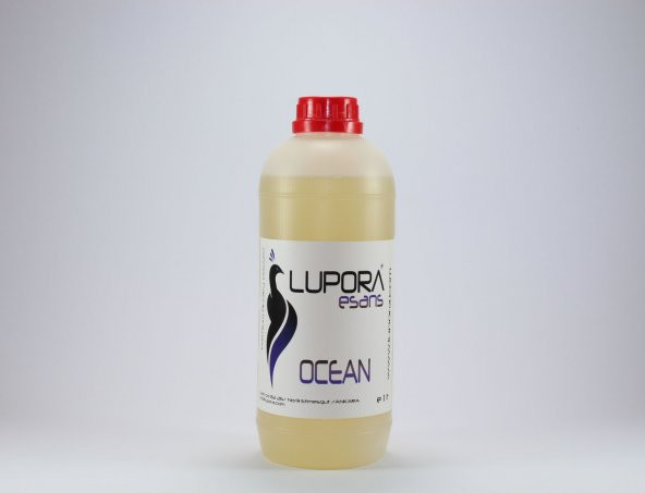 Kokulu taş tozu, sabun ve mum esansı (Ocean, 1 LT)