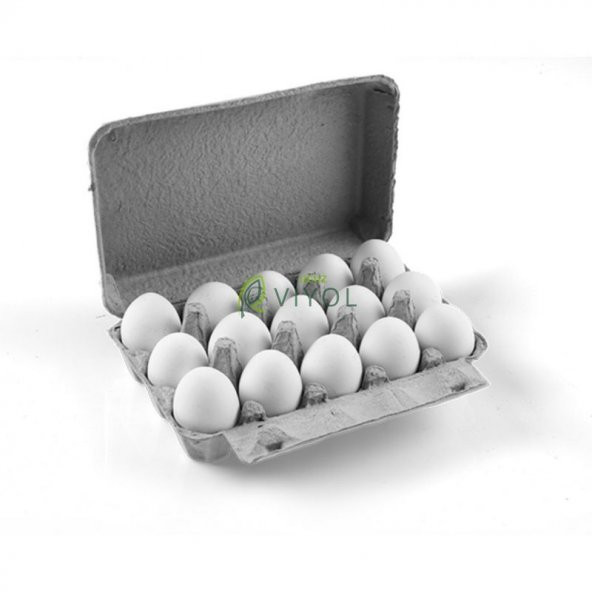 15 Lİ KARTON KAPAKLI YUMURTA VİYOLÜ - Resim 2