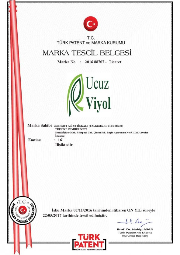 15 Lİ KARTON KAPAKLI YUMURTA VİYOLÜ - Resim 8