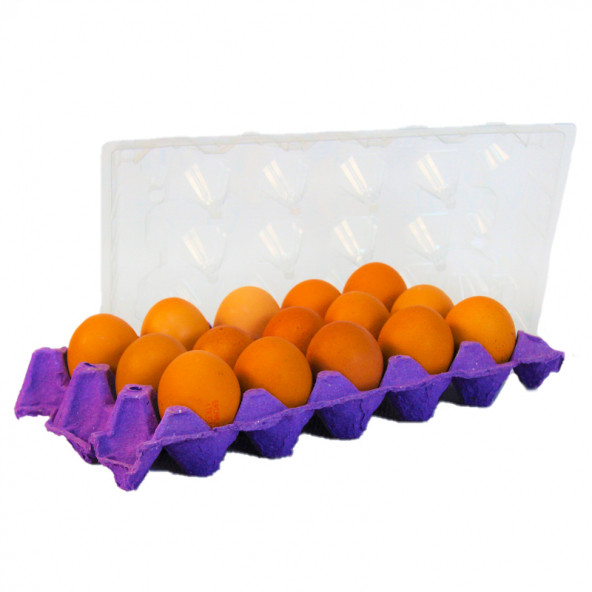 15 Lİ KARTON VİYOL İÇİN 125 ADET PLASTİK ÜST KAPAK - 2