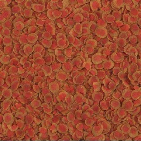 Tetra pro colour 100 gr (Orijinal Kovasından Bölme) - 2